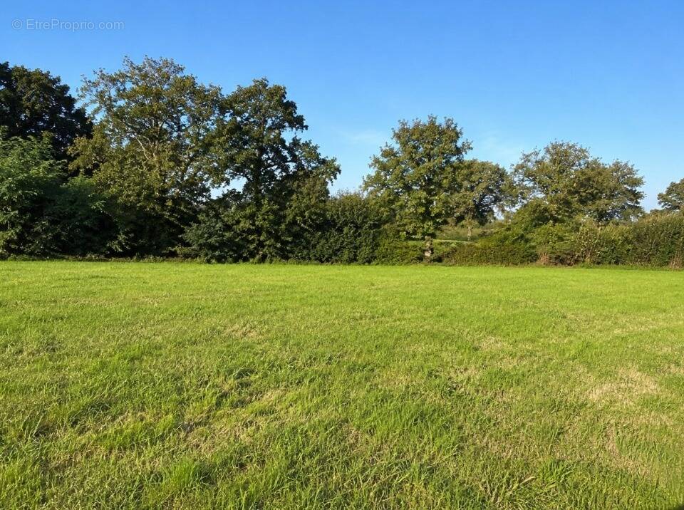 Terrain à COURCEBOEUFS