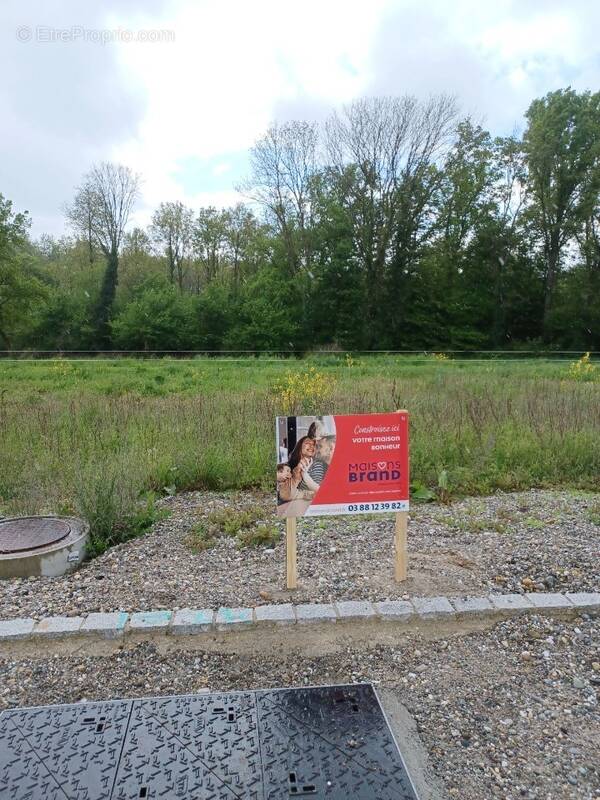 Terrain à LEUTENHEIM