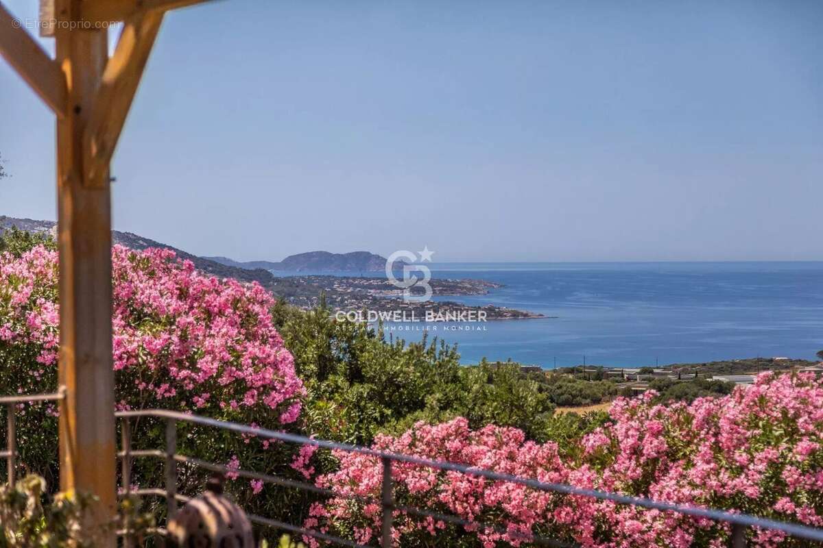 Corbara - Villa de Charme vue Panoramique - photo 12
