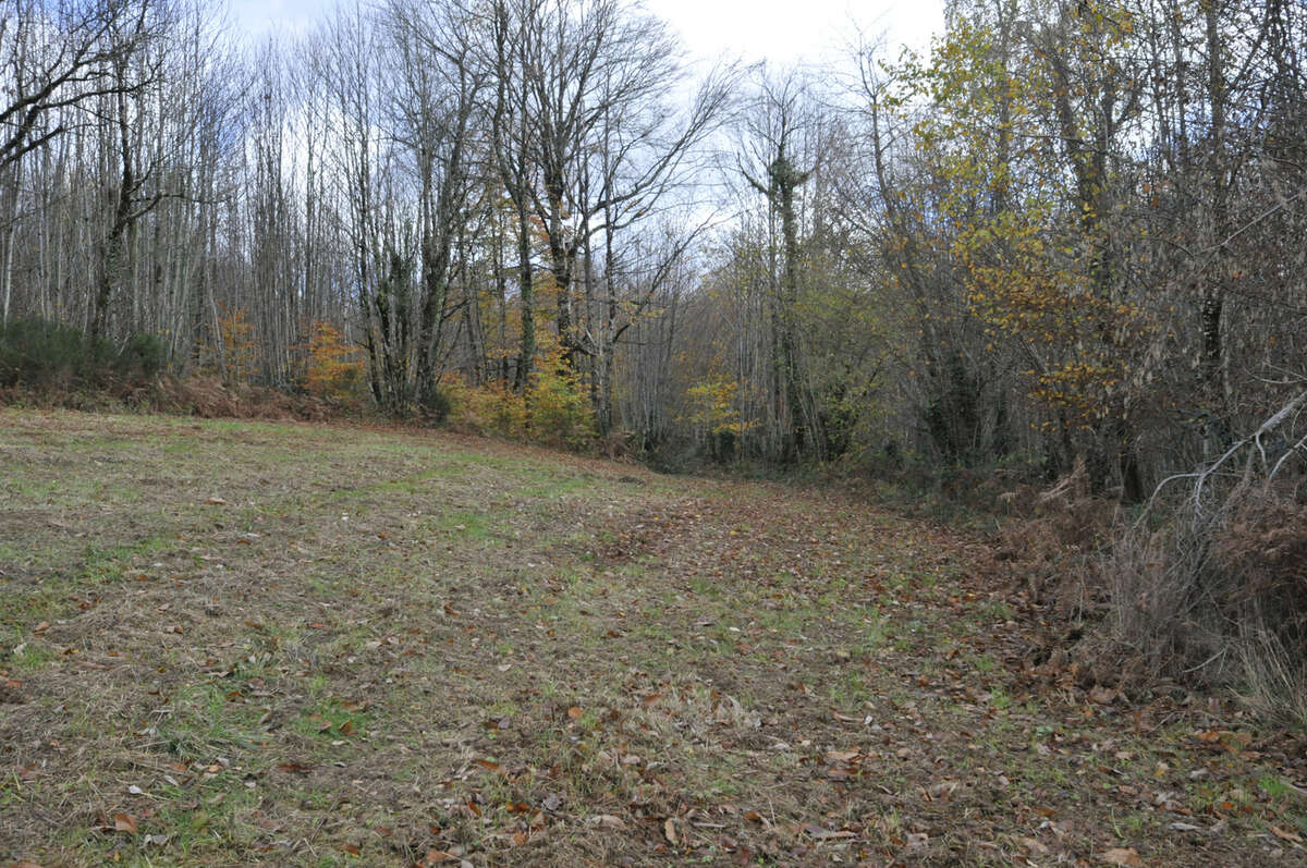 Terrain à VICQ-SUR-BREUILH
