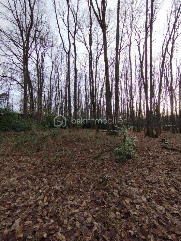 TERRAIN constructible avec Bungalow - photo 4