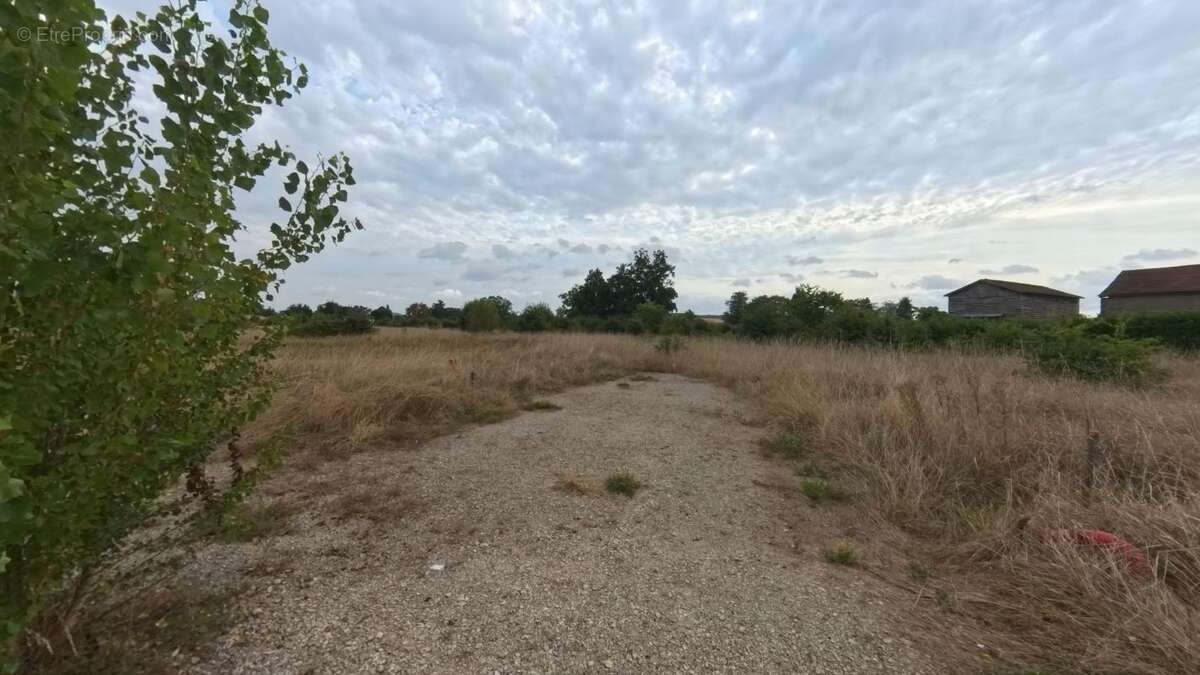 Terrain 602 m² à Casseneuil  - photo 2