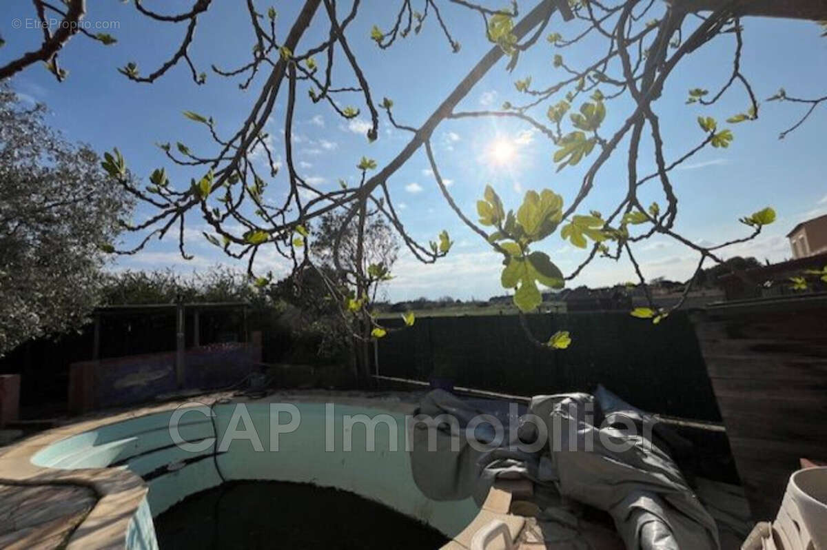 Maison à SAINT-LAURENT-DE-LA-SALANQUE