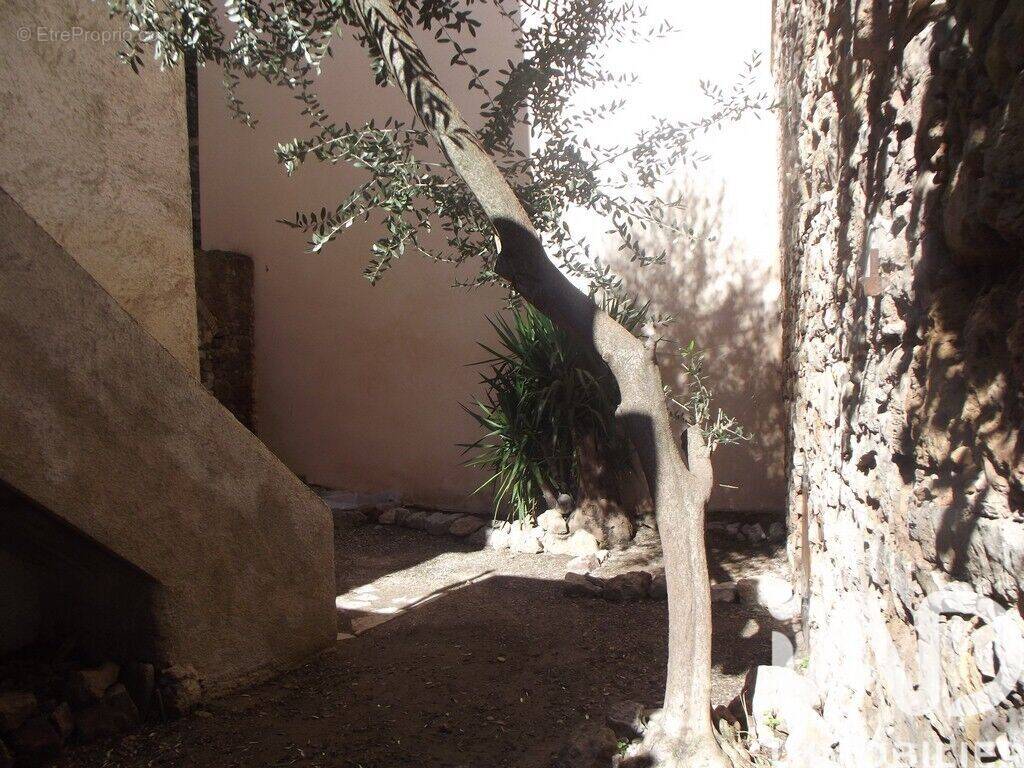 Photo 1 - Appartement à LE LUC