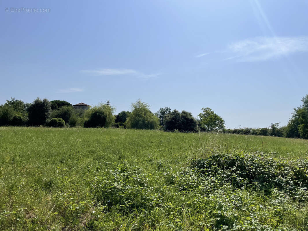 Terrain constructible à La Romieu (Gers) - photo 4