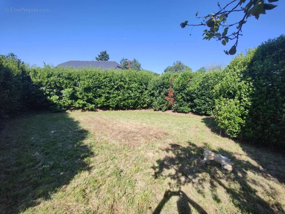 Segala-superbe maison de 1893 sur un terrain de7000m² - photo 4