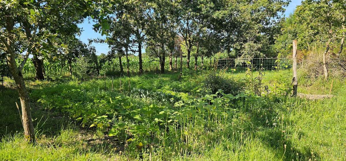 Photo 4 - Terrain à LA PLAINE-SUR-MER