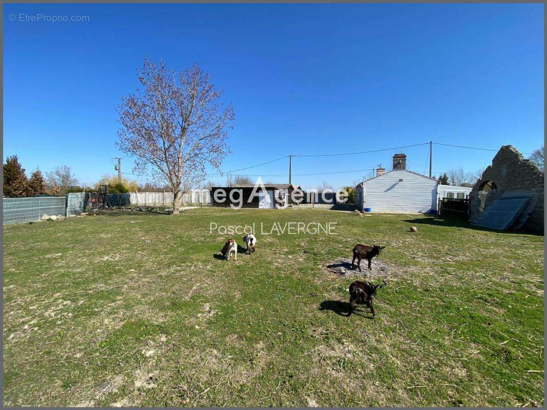 Maison à SALLERTAINE