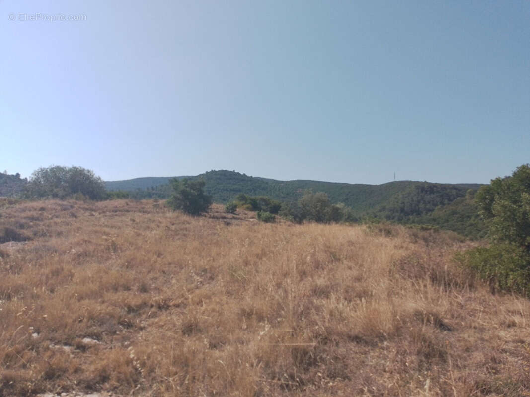 Terrain à SAINT-MARTIN-DES-PUITS