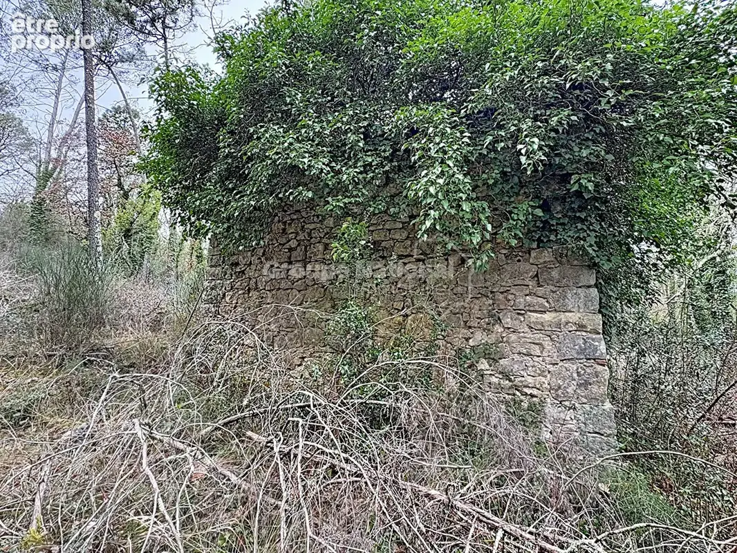 Terrain callian - photo 5