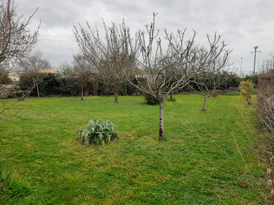 Terrain à SALLES-SUR-MER