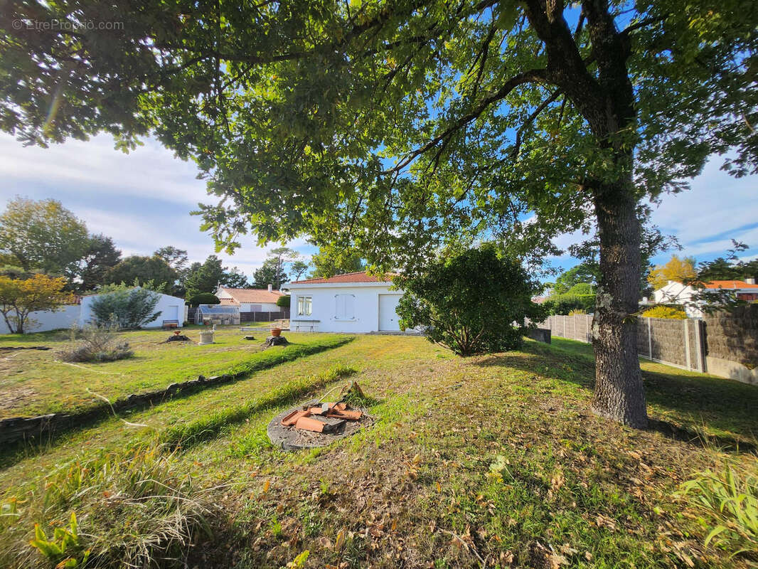 Maison à SAINT-HILAIRE-DE-RIEZ