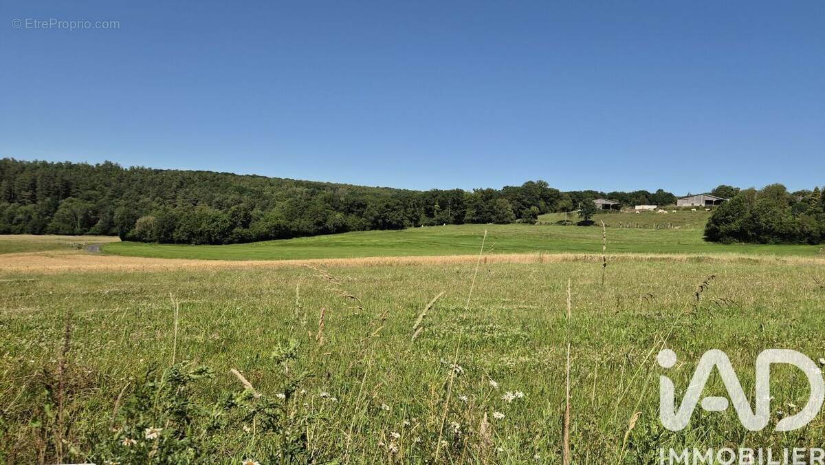 Photo 1 - Terrain à LA NEUVILLE-DU-BOSC