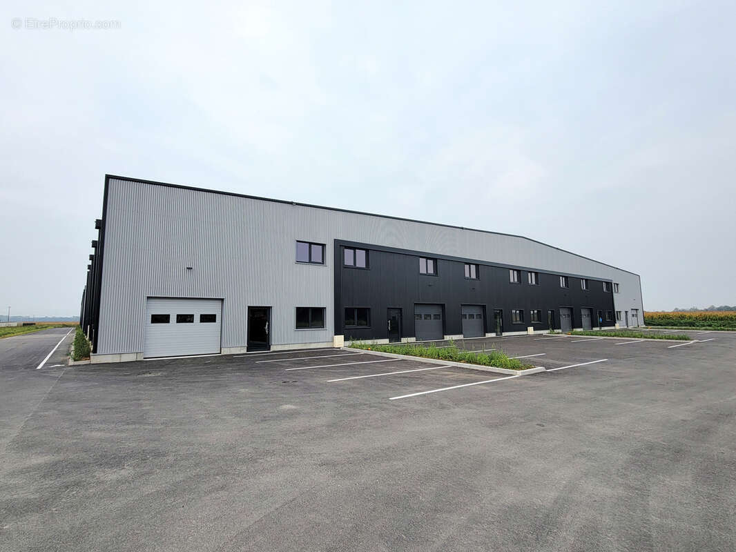 Commerce à FEGERSHEIM