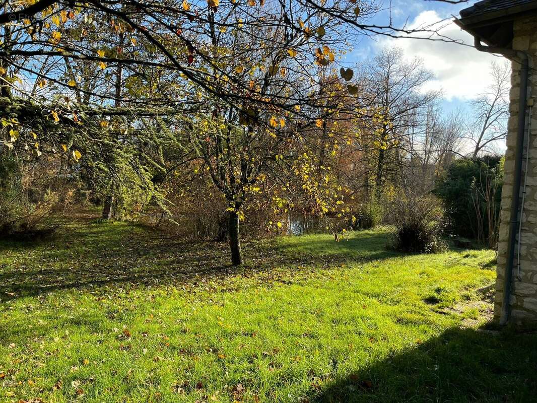 arbre et étang - Maison à ISSIGEAC