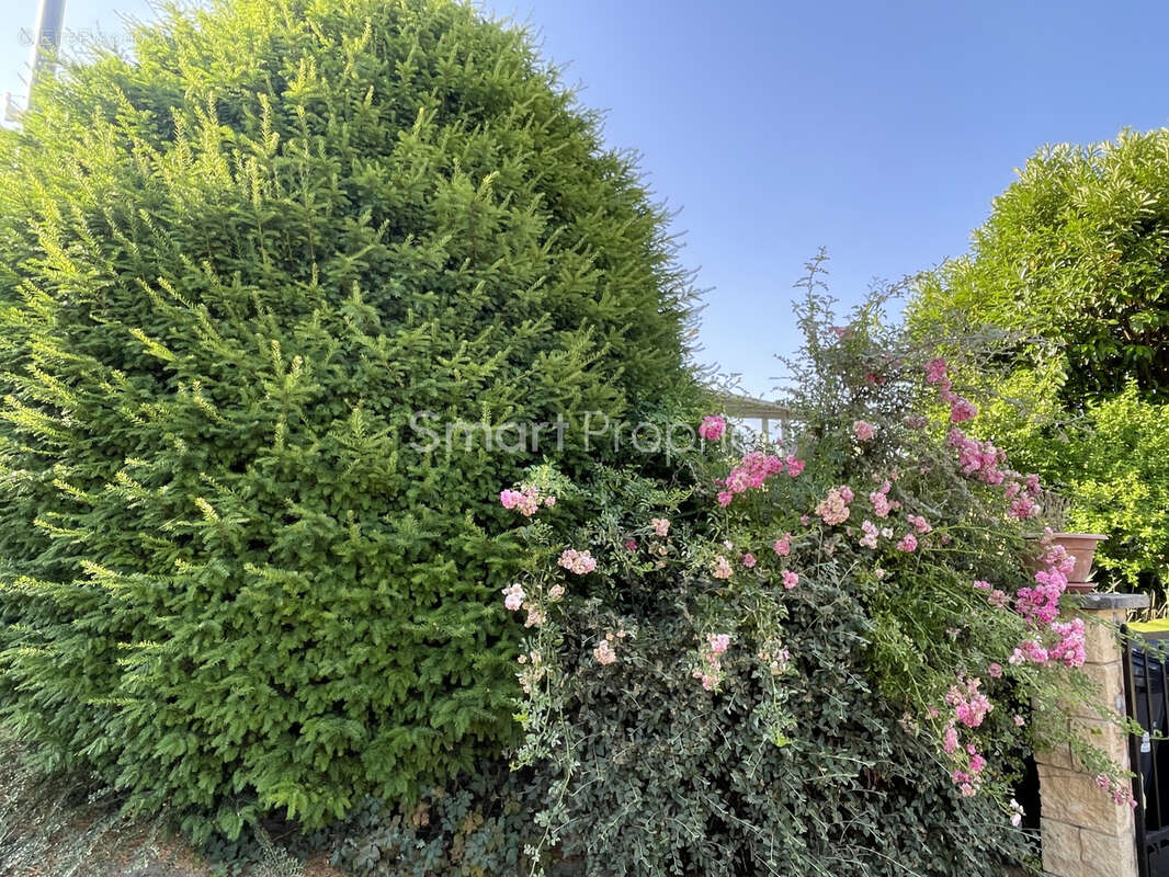 À Châtillon-Sur-Seine, villa de 141m2 avec 2 chambres à vendre - photo 6