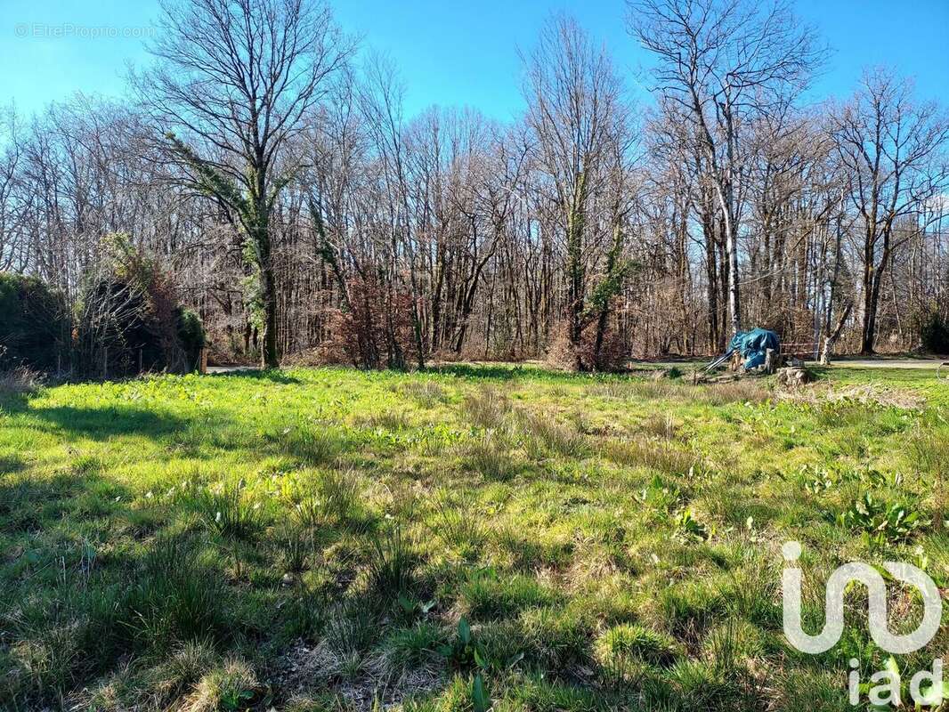 Photo 4 - Terrain à ROUMAZIERES-LOUBERT
