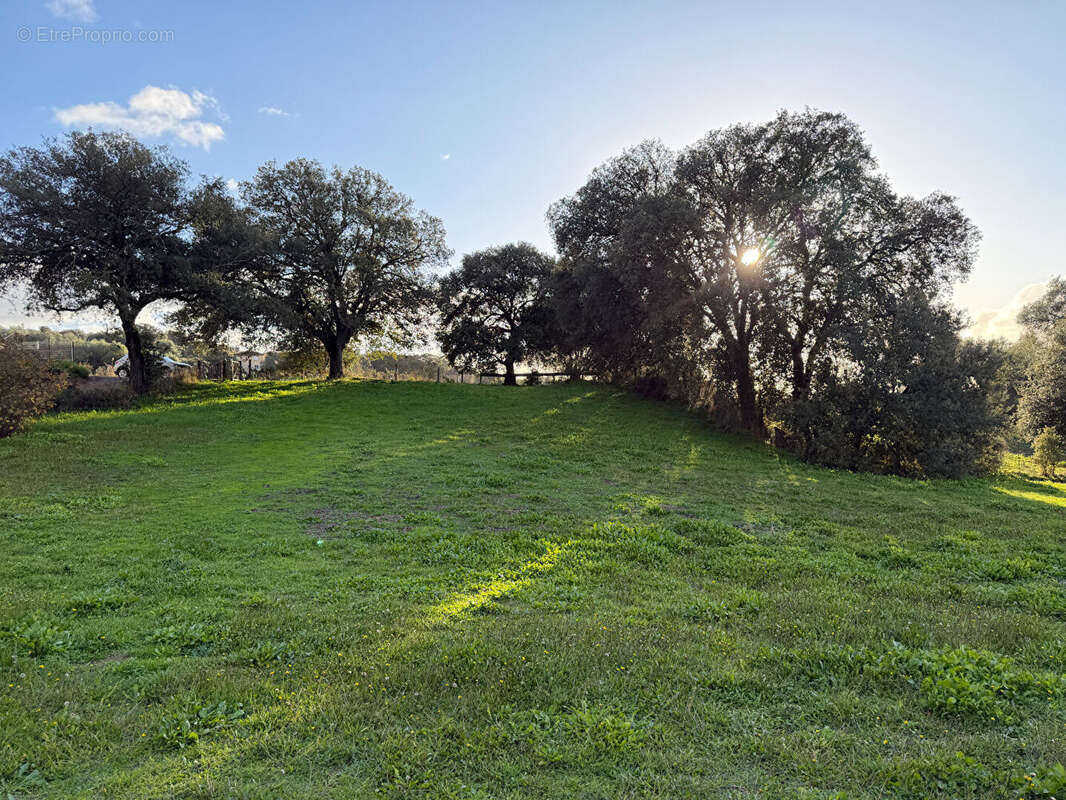 Terrain à BASTELICACCIA