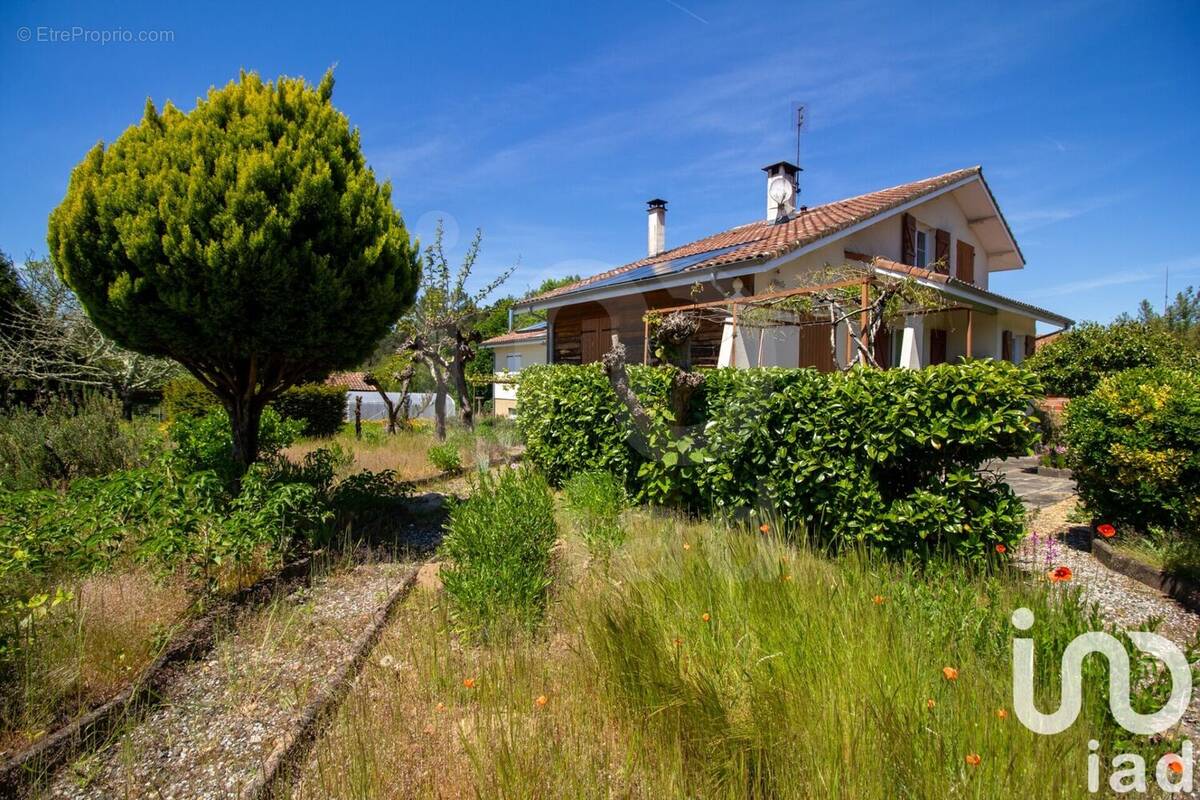 Photo 1 - Maison à SAINT-JULIEN-EN-BORN