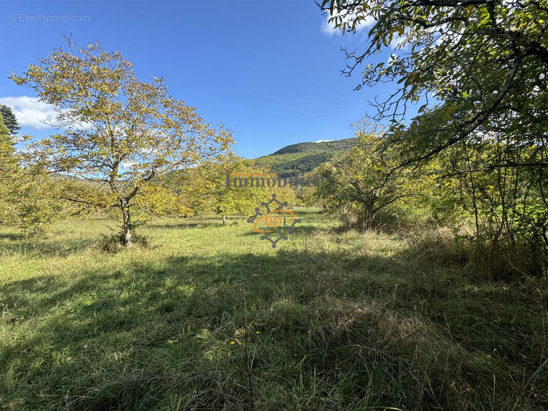 Vente terrain constructible avec maison de vigne Saint Affrique - photo 11