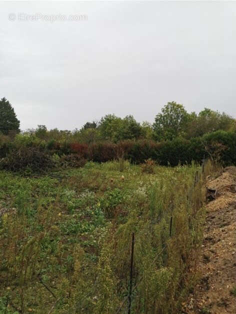 Terrain a batir a vendre mantes la jolie - photo 4