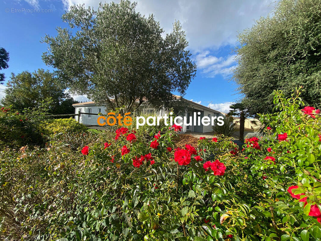 Maison à CHANTONNAY