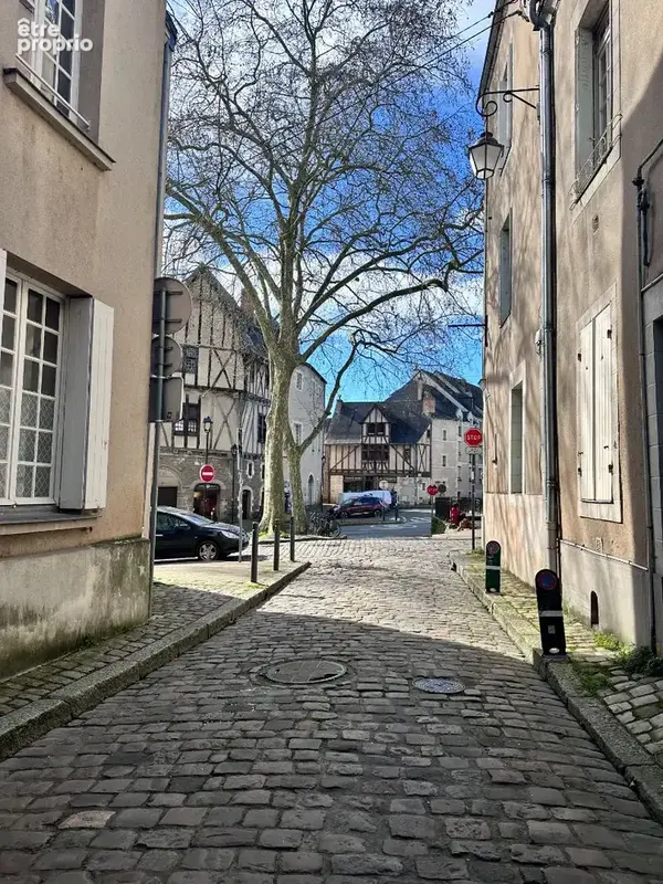 Appartement à vendre Angers La Doutre à proximité arrêt de tramway - photo 13