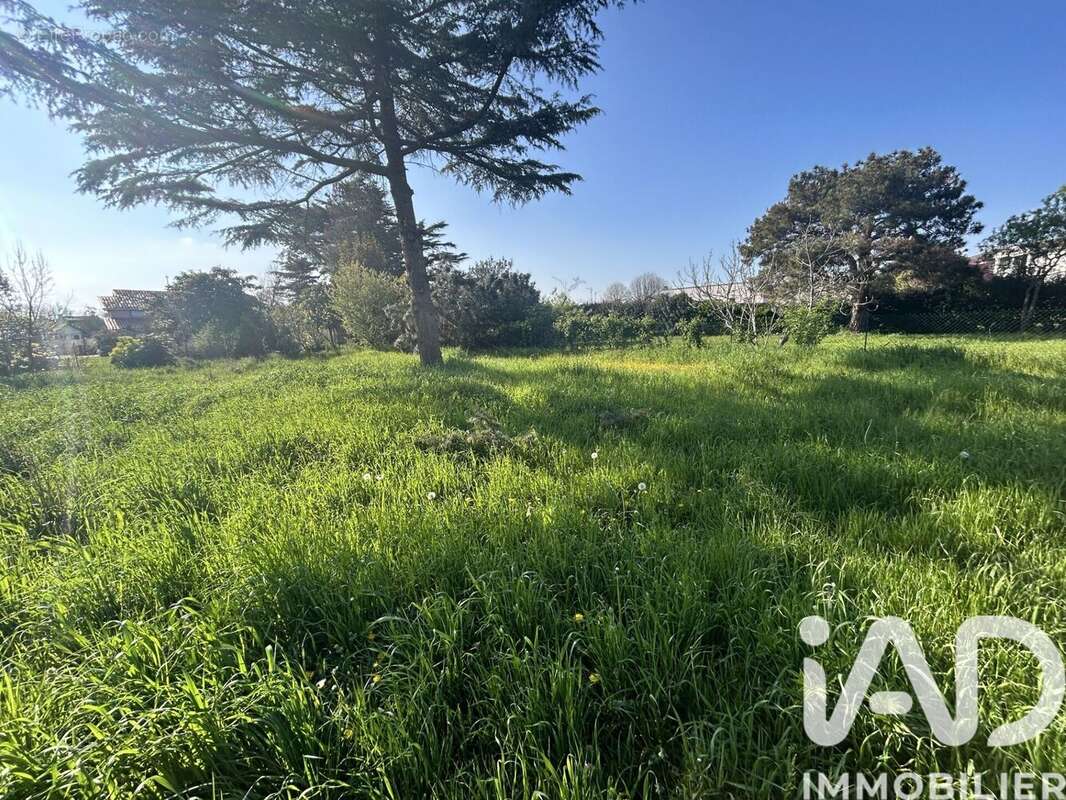 Photo 4 - Terrain à TOULOUSE