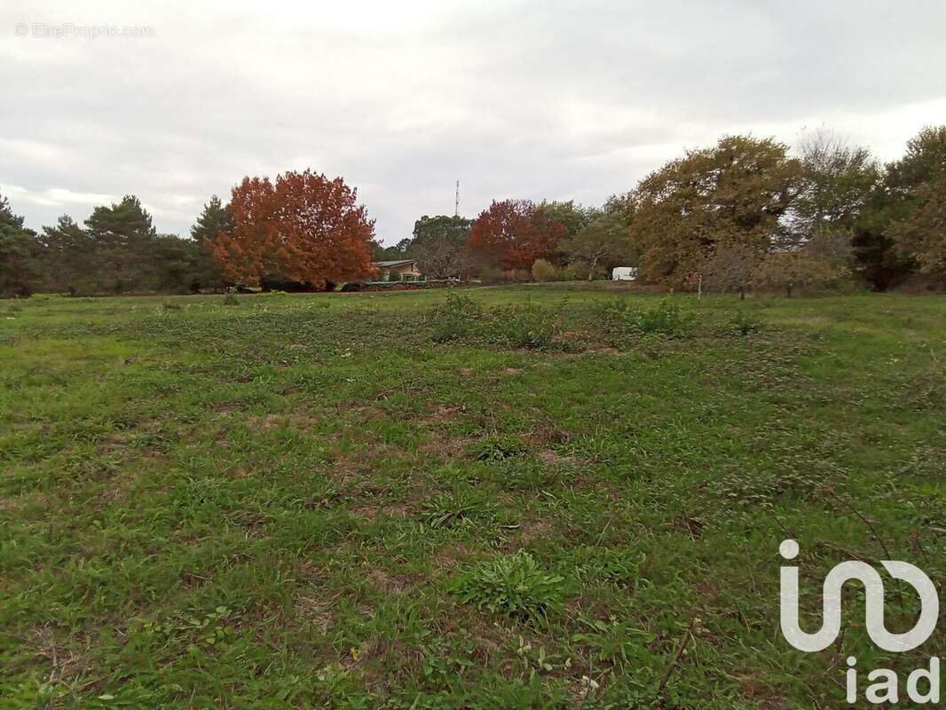 Photo 3 - Terrain à SAINT-REMY