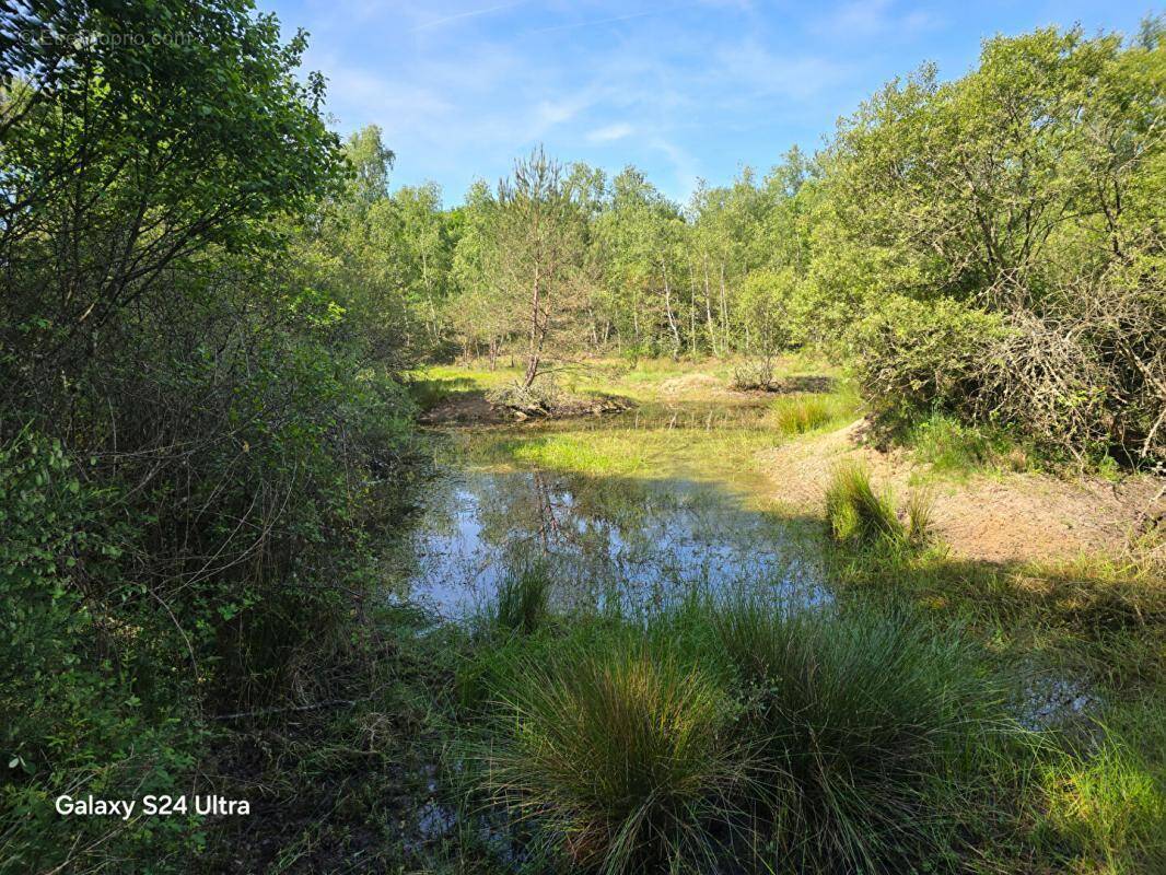 Terrain à MONTEREAU