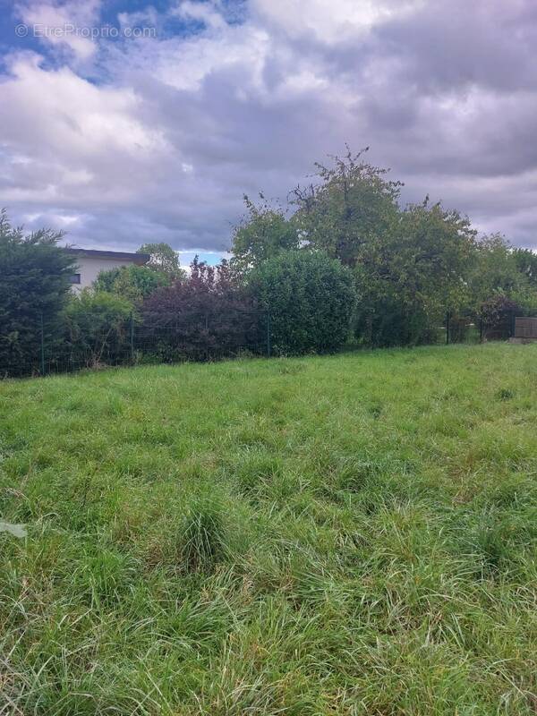 Terrain à HILSENHEIM