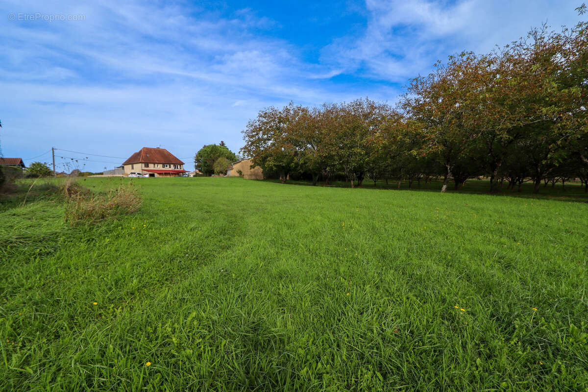 Terrain à SALIGNAC-EYVIGUES