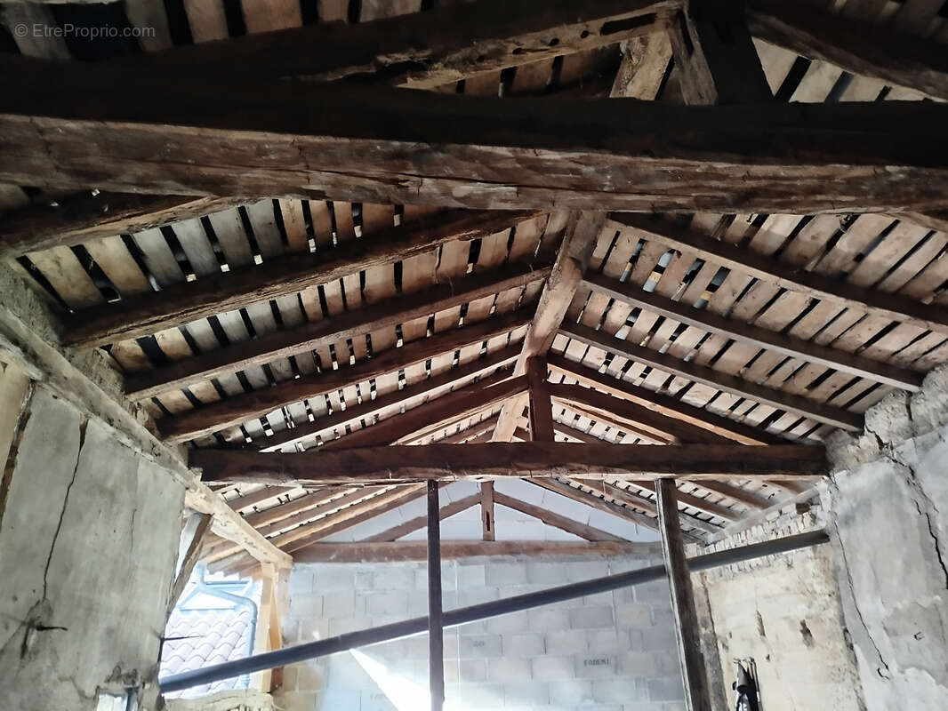 Appartement à MONTREVEL-EN-BRESSE