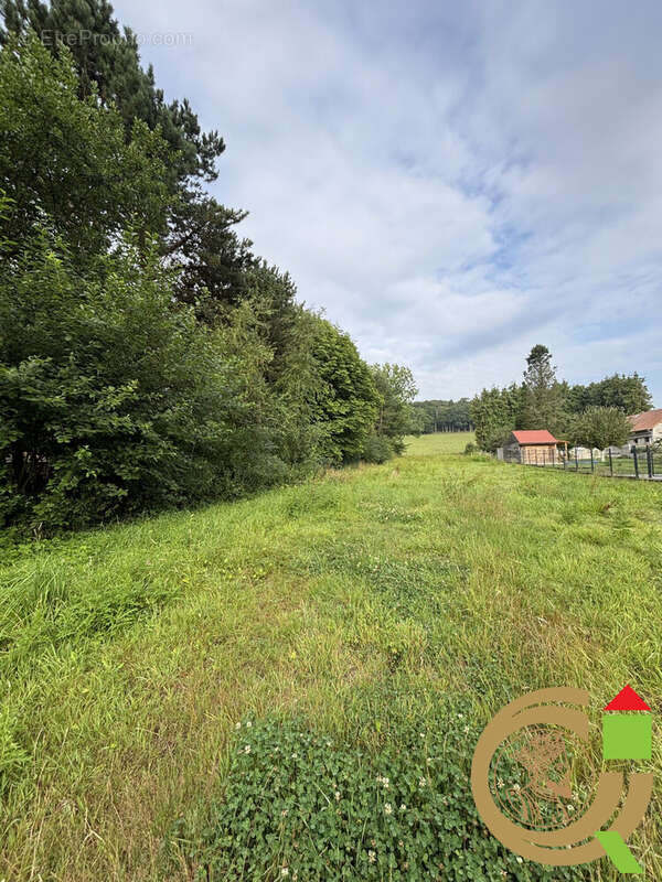 Terrain 2014 m² à Recques-Sur-Course  - photo 2