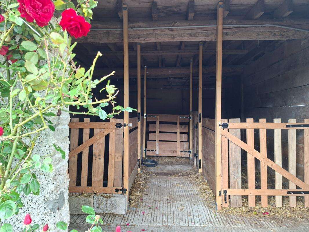 Maison 4-5 pièces avec dépendances et pâturage, LE TEILLEUL (50) - photo 21