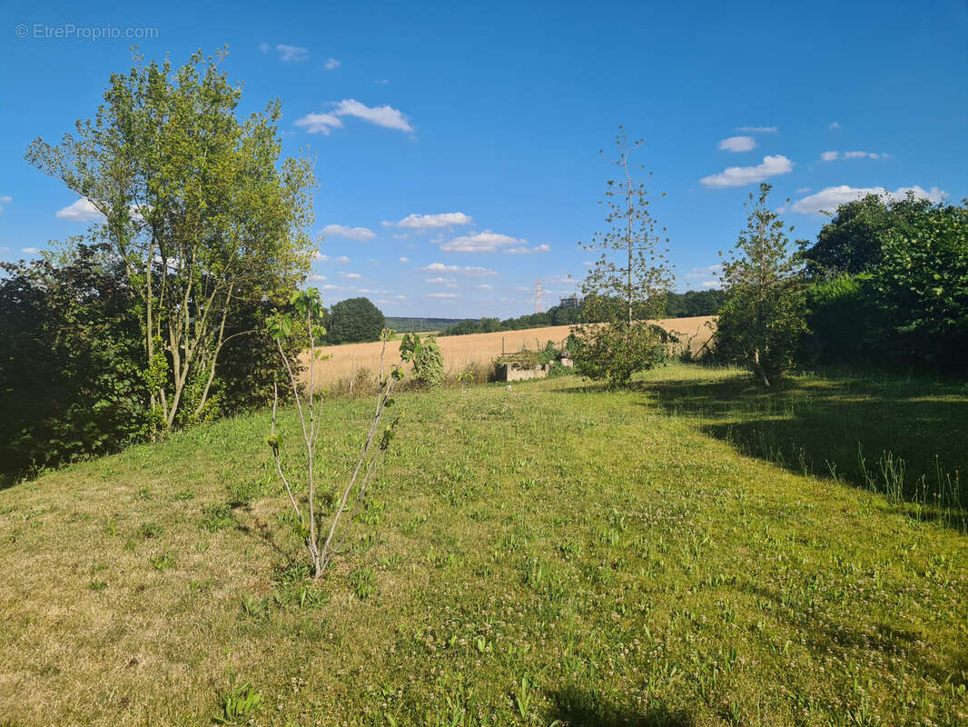 Terrain à LIMOURS
