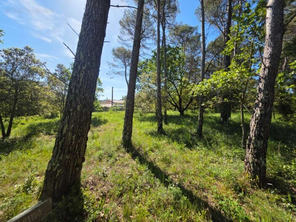 Terrain 847 m² à Gareoult  - photo 10