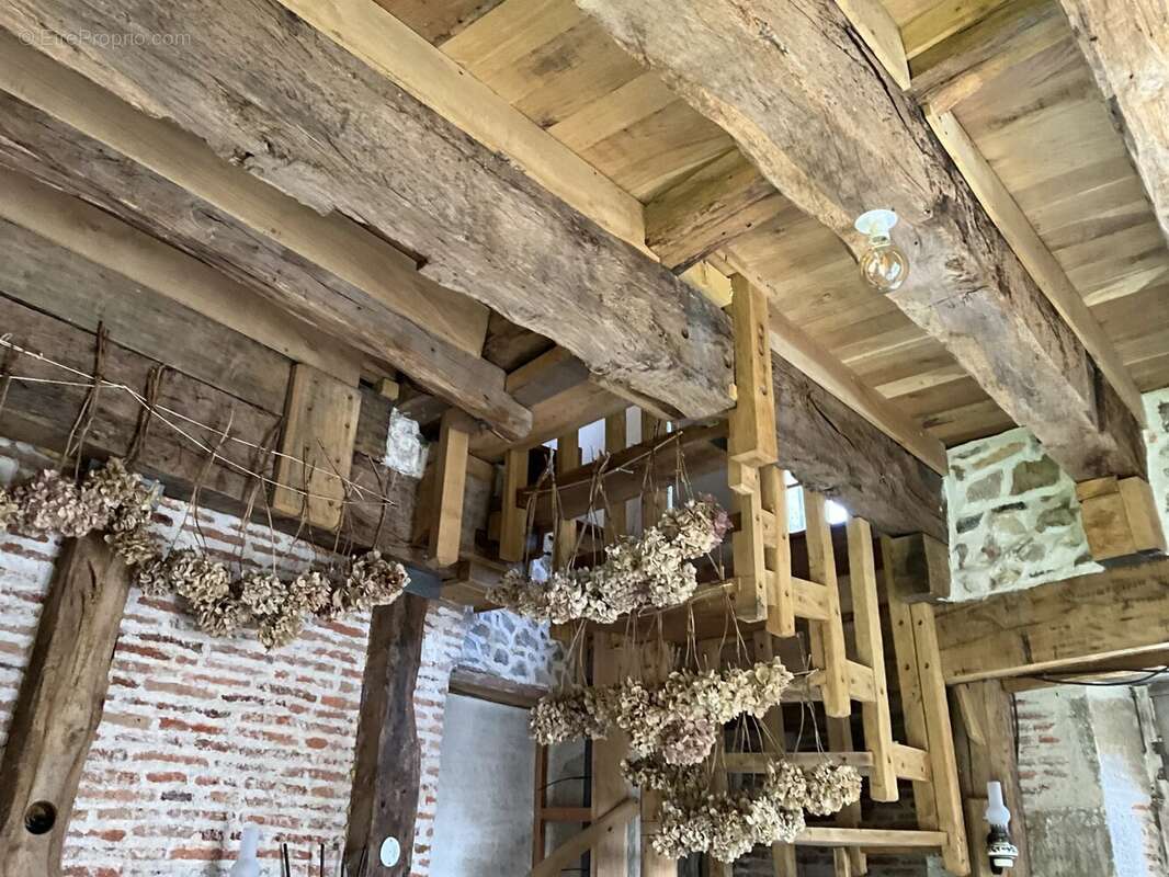 Bien rare et unique: Château à rénover situé sur une île - photo 9