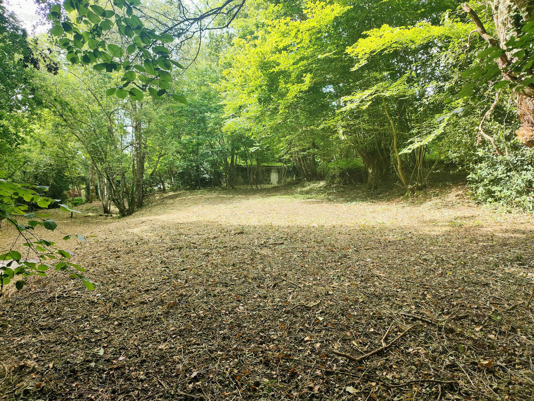 Terrain à MONTREUIL-L&#039;ARGILLE