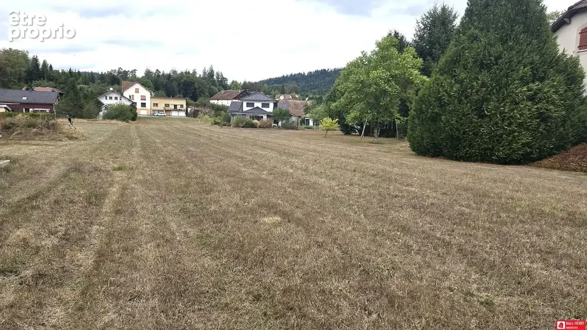 Terrain 1000 m² à Le Syndicat  - photo 2
