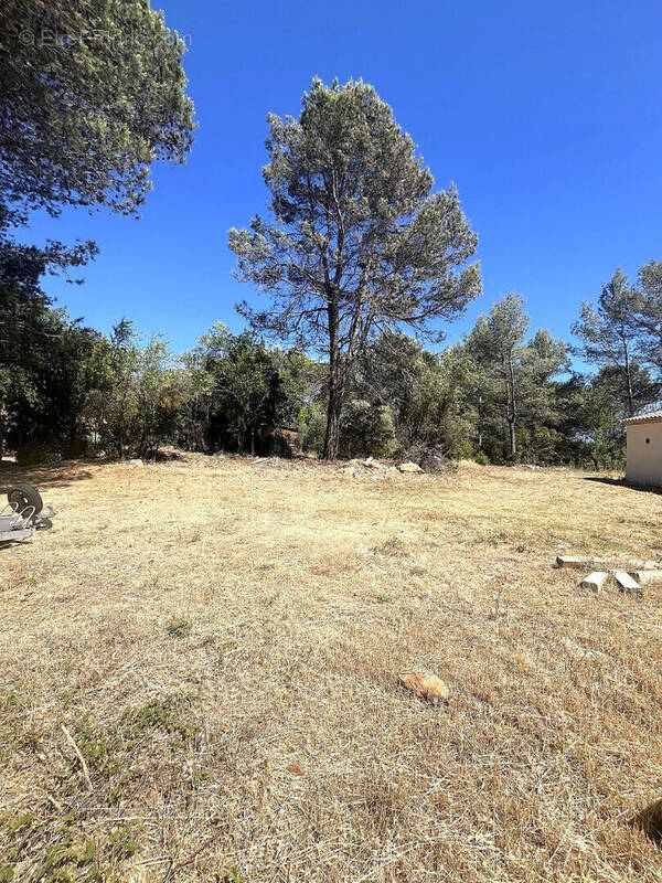Terrain à SAINT-MAXIMIN-LA-SAINTE-BAUME
