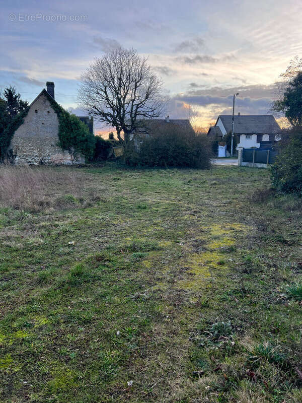 Terrain à DAMMARIE