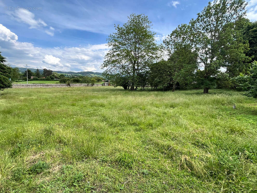 Terrain à PAULHAGUET