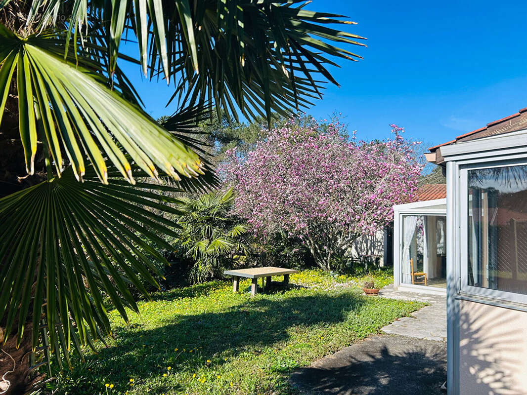 Maison à TARNOS