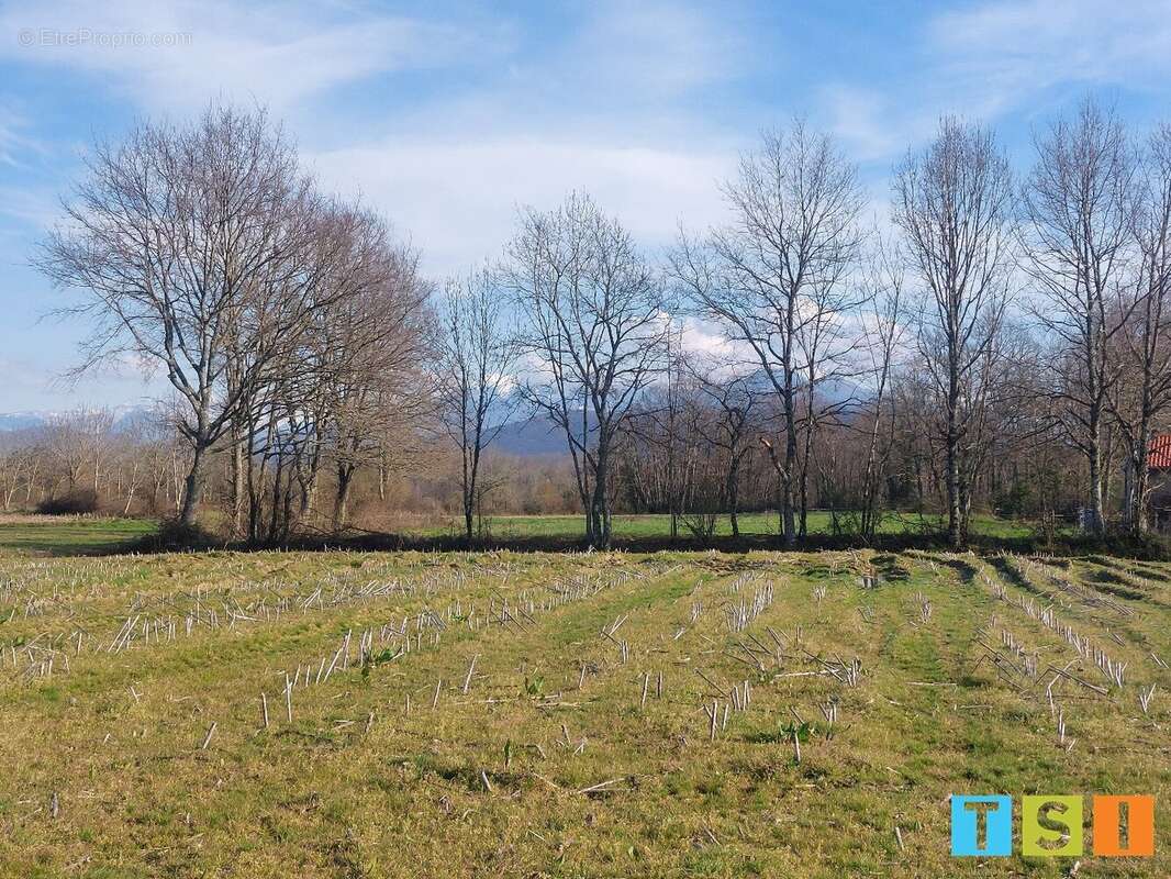 Terrain constructible (2500 m²) avec permis de construire sur 6760 m² avec vue dégagée - photo 6