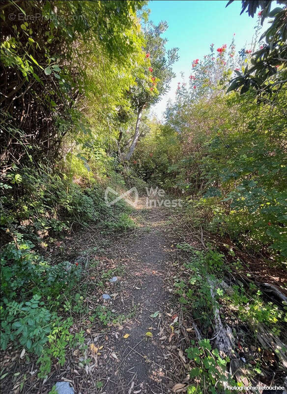 Maison à VILLE-DI-PIETRABUGNO