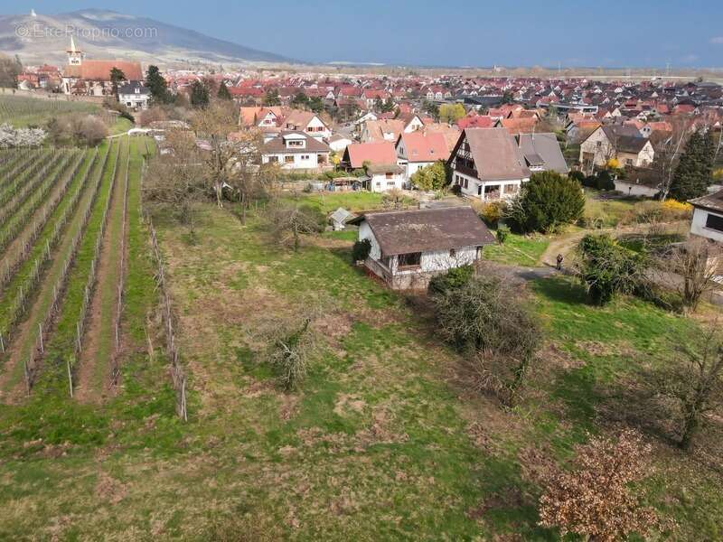 Terrain à CHATENOIS