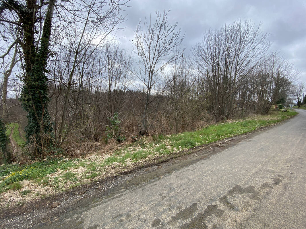 Terrain à SAINT-PARDOUX-L'ORTIGIER