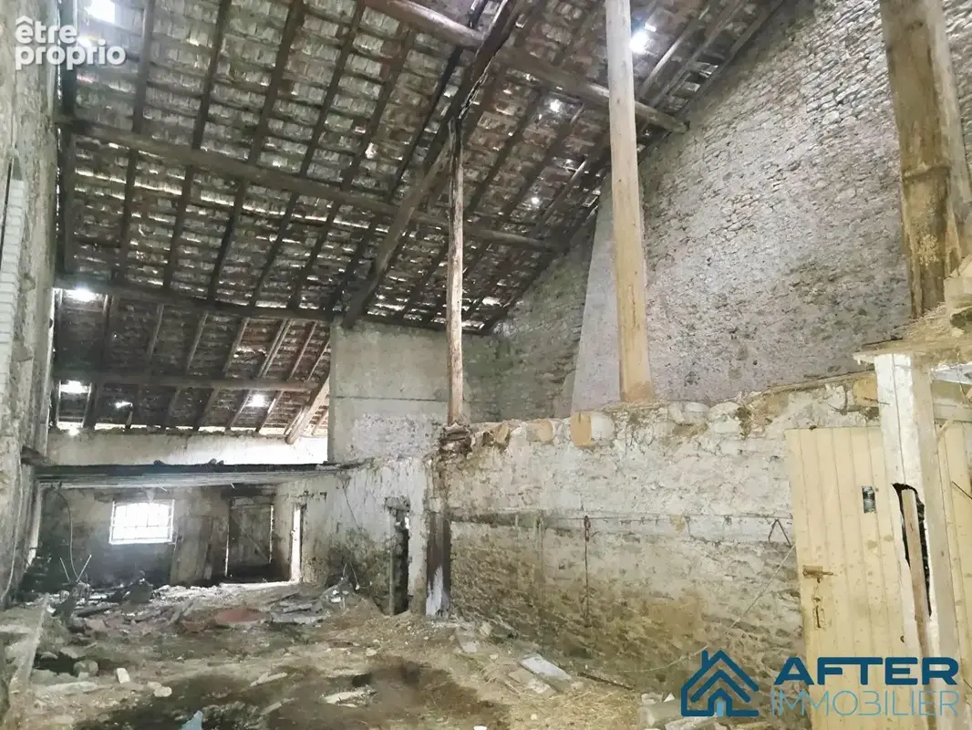 Maison 300 m² à Brouville  - photo 6