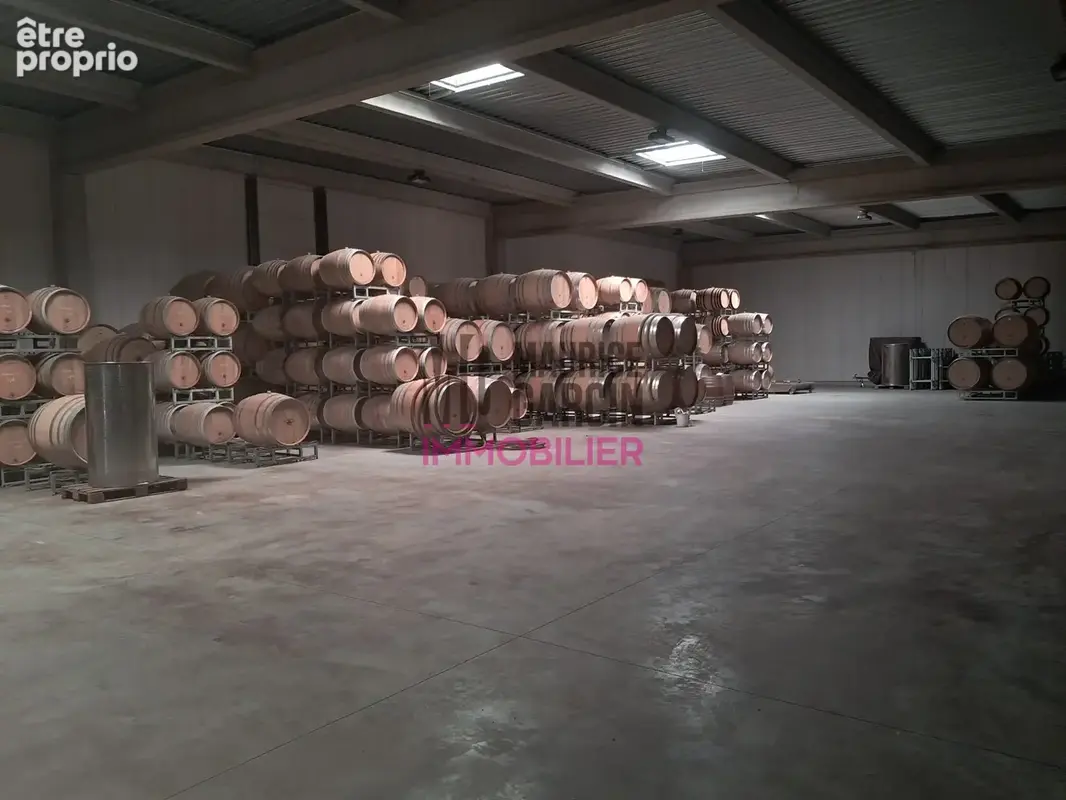 Commerce 1 100 m² à vendre à Seguret (84110) - photo 3